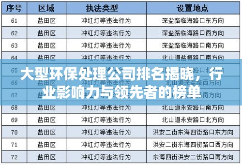 大型環(huán)保處理公司排名揭曉，行業(yè)影響力與領先者的榜單