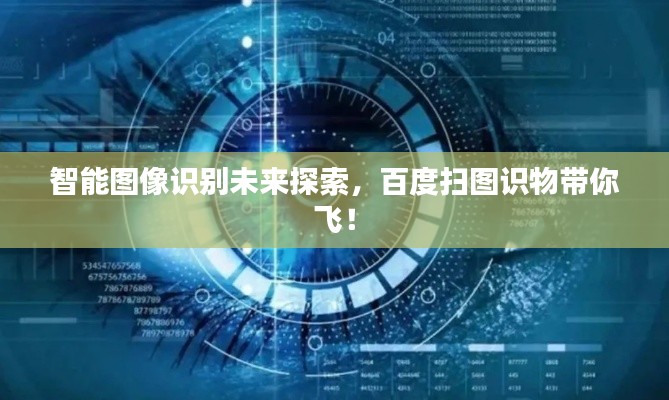 智能圖像識(shí)別未來探索，百度掃圖識(shí)物帶你飛！