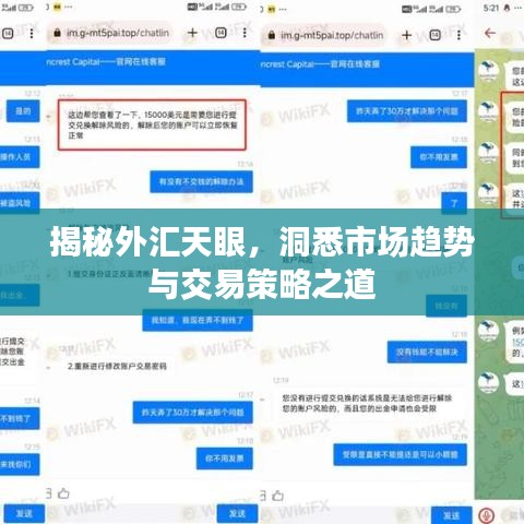 揭秘外匯天眼，洞悉市場趨勢與交易策略之道