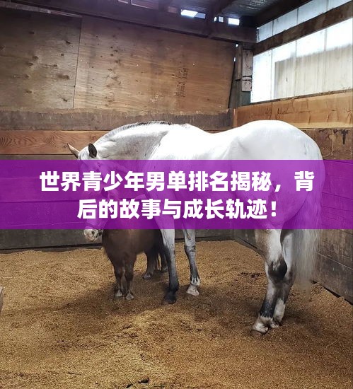 世界青少年男單排名揭秘，背后的故事與成長(zhǎng)軌跡！