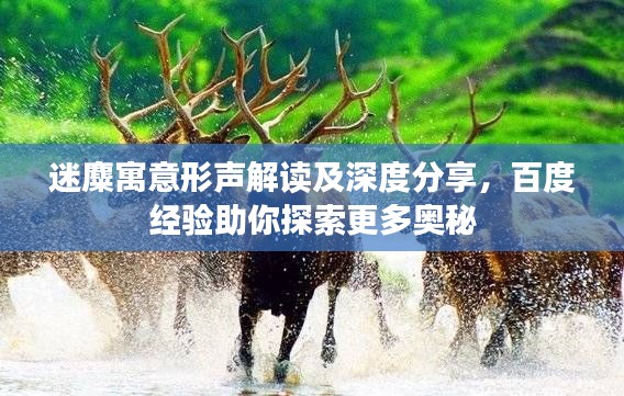 迷麋寓意形聲解讀及深度分享，百度經(jīng)驗(yàn)助你探索更多奧秘