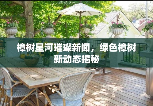 樟樹星河璀璨新聞，綠色樟樹新動態(tài)揭秘