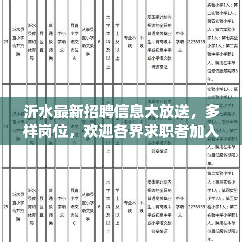 沂水最新招聘信息大放送，多樣崗位，歡迎各界求職者加入，年齡至55歲