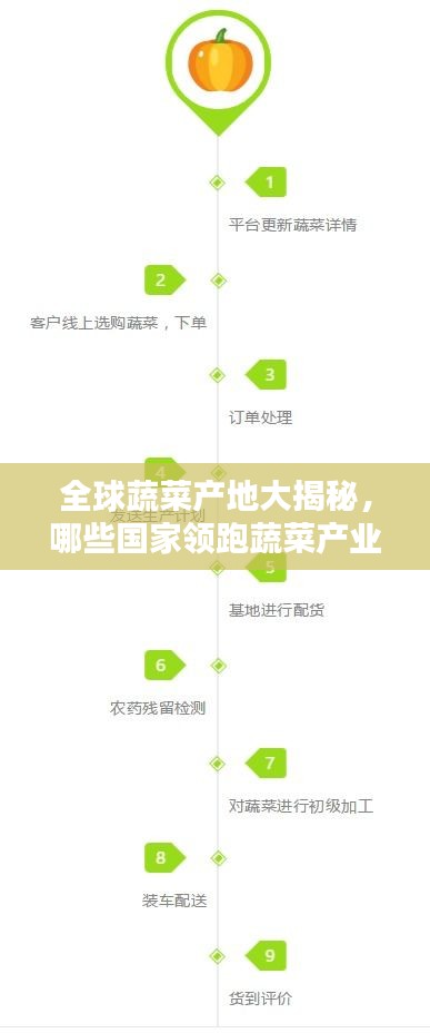 全球蔬菜產(chǎn)地大揭秘，哪些國家領跑蔬菜產(chǎn)業(yè)榜單？