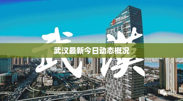 武漢最新今日動態(tài)概況