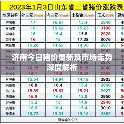 濟南今日豬價更新及市場走勢深度解析