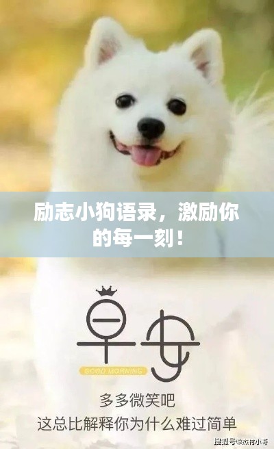 勵(lì)志小狗語(yǔ)錄，激勵(lì)你的每一刻！