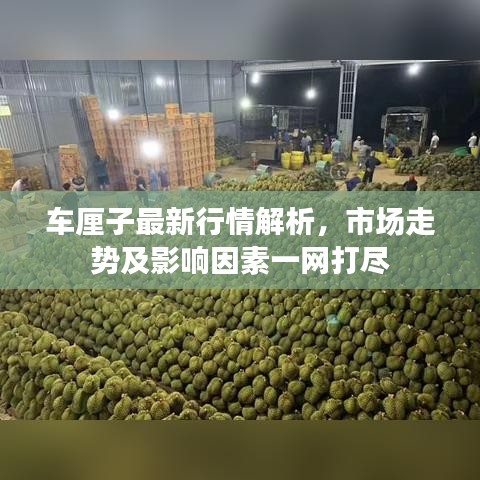 車?yán)遄幼钚滦星榻馕?，市場走勢及影響因素一網(wǎng)打盡