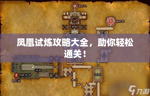 鳳凰試煉攻略大全，助你輕松通關(guān)！