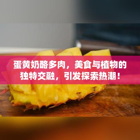 蛋黃奶酪多肉，美食與植物的獨(dú)特交融，引發(fā)探索熱潮！