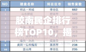 膠南民企排行榜TOP10，揭秘地方經(jīng)濟(jì)巨頭企業(yè)
