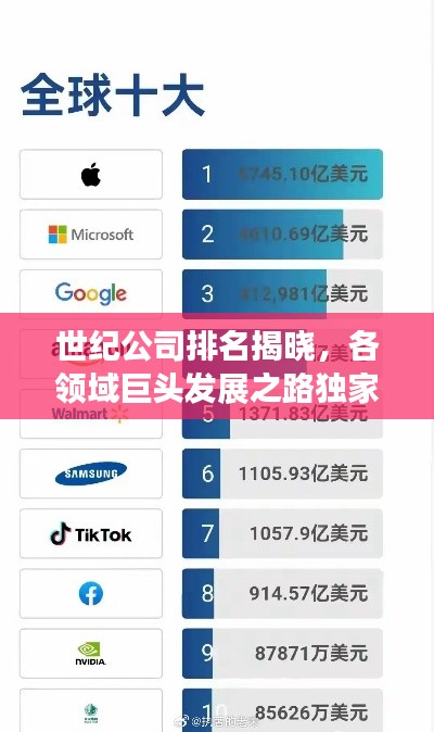 世紀(jì)公司排名揭曉，各領(lǐng)域巨頭發(fā)展之路獨(dú)家揭秘