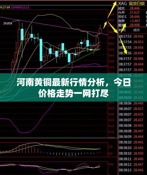 河南黃銅最新行情分析，今日價格走勢一網(wǎng)打盡