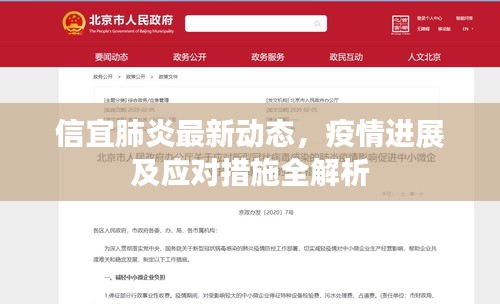 信宜肺炎最新動態(tài)，疫情進展及應(yīng)對措施全解析