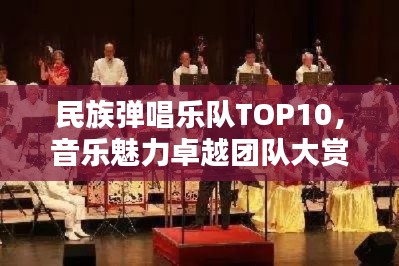民族彈唱樂(lè)隊(duì)TOP10，音樂(lè)魅力卓越團(tuán)隊(duì)大賞