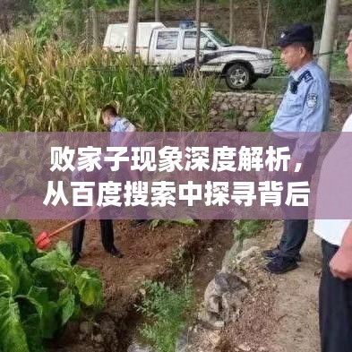 敗家子現(xiàn)象深度解析，從百度搜索中探尋背后的故事