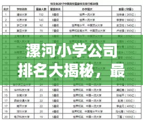 漯河小學公司排名大揭秘，最新榜單，家長必看！