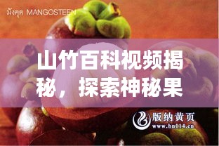 山竹百科視頻揭秘，探索神秘果實的奇妙之旅！