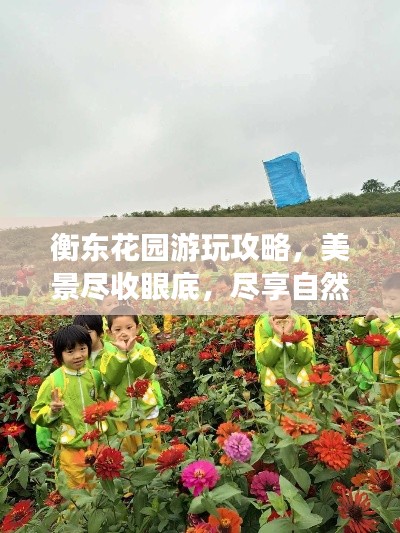 衡東花園游玩攻略，美景盡收眼底，盡享自然之旅！