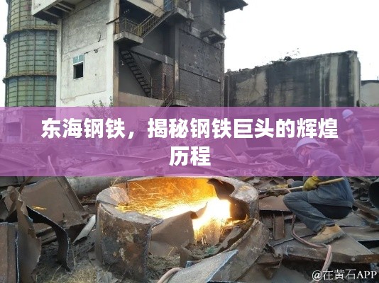 東海鋼鐵，揭秘鋼鐵巨頭的輝煌歷程