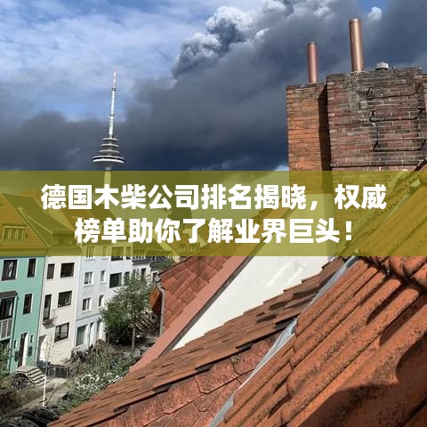 德國木柴公司排名揭曉，權(quán)威榜單助你了解業(yè)界巨頭！