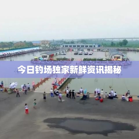 今日釣場獨家新鮮資訊揭秘