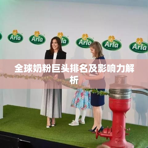 全球奶粉巨頭排名及影響力解析