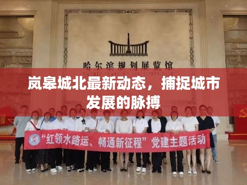 嵐皋城北最新動態(tài)，捕捉城市發(fā)展的脈搏