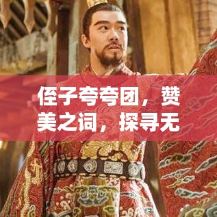 侄子夸夸團(tuán)，贊美之詞，探尋無盡光輝的魅力