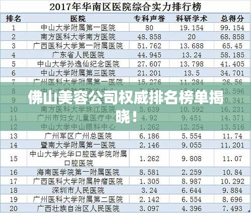 佛山美容公司權(quán)威排名榜單揭曉！