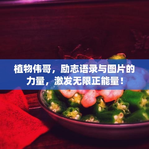 植物偉哥，勵(lì)志語(yǔ)錄與圖片的力量，激發(fā)無(wú)限正能量！