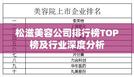 松滋美容公司排行榜TOP榜及行業(yè)深度分析
