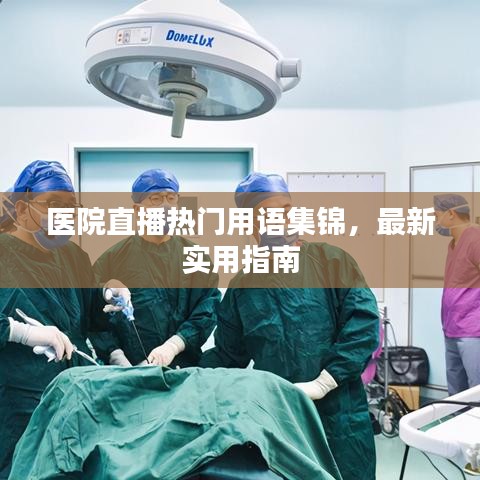 醫(yī)院直播熱門用語(yǔ)集錦，最新實(shí)用指南