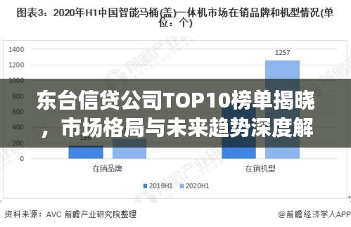 東臺信貸公司TOP10榜單揭曉，市場格局與未來趨勢深度解讀