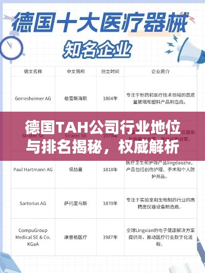 德國(guó)TAH公司行業(yè)地位與排名揭秘，權(quán)威解析引領(lǐng)關(guān)注焦點(diǎn)