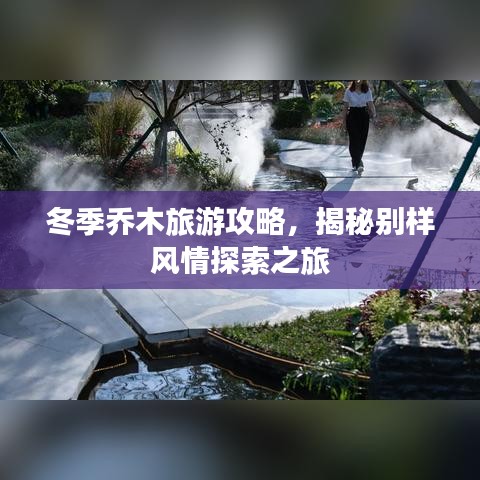 冬季喬木旅游攻略，揭秘別樣風情探索之旅
