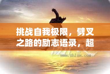 挑戰(zhàn)自我極限，劈叉之路的勵(lì)志語錄，超越新境界！