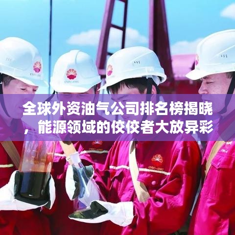 全球外資油氣公司排名榜揭曉，能源領(lǐng)域的佼佼者大放異彩！