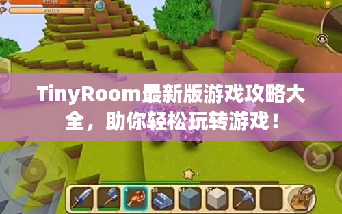 TinyRoom最新版游戲攻略大全，助你輕松玩轉(zhuǎn)游戲！