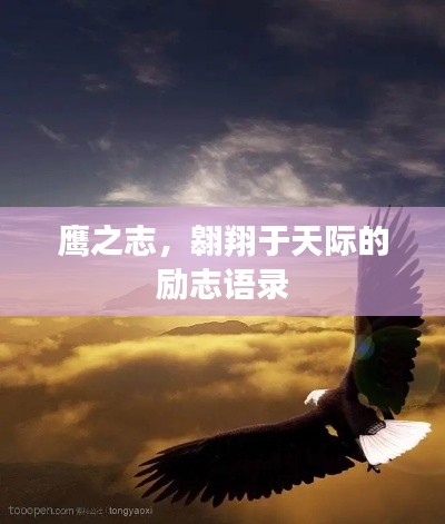 鷹之志，翱翔于天際的勵志語錄