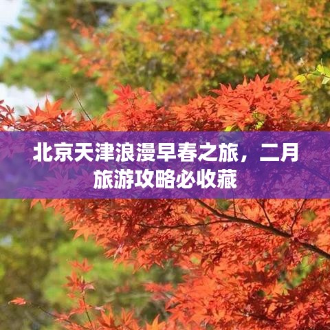 澹泊明志，寧靜致遠 第2頁