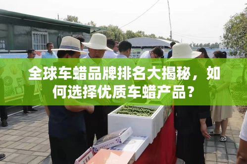 全球車蠟品牌排名大揭秘，如何選擇優(yōu)質(zhì)車蠟產(chǎn)品？