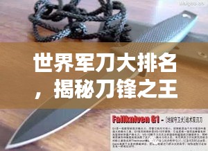 世界軍刀大排名，揭秘刀鋒之王的神秘面紗！