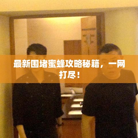 最新圍堵蜜蜂攻略秘籍，一網(wǎng)打盡！