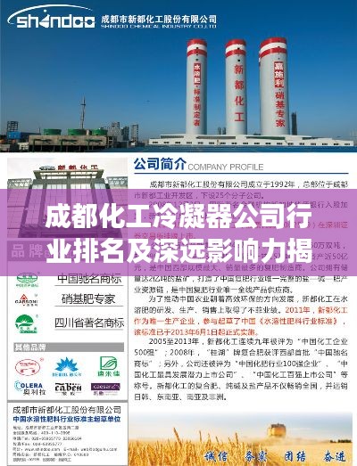 成都化工冷凝器公司行業(yè)排名及深遠(yuǎn)影響力揭秘
