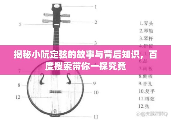揭秘小阮定弦的故事與背后知識(shí)，百度搜索帶你一探究竟