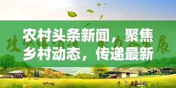 農(nóng)村頭條新聞，聚焦鄉(xiāng)村動態(tài)，傳遞最新資訊