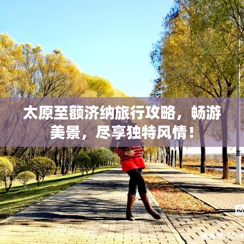 澹泊明志 第2頁