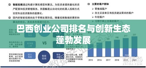 巴西創(chuàng)業(yè)公司排名與創(chuàng)新生態(tài)蓬勃發(fā)展