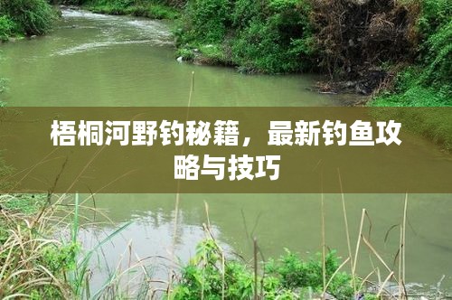 梧桐河野釣秘籍，最新釣魚(yú)攻略與技巧